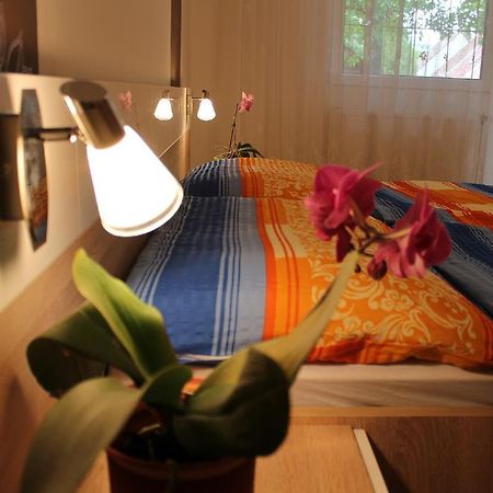 Anita Apartman Bük 外观 照片