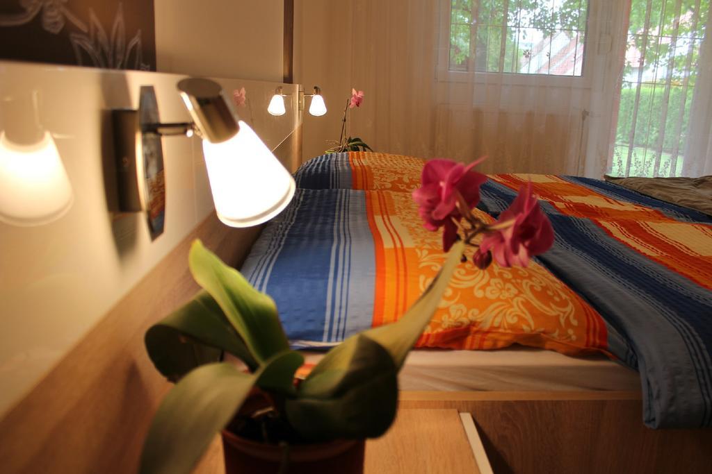 Anita Apartman Bük 外观 照片